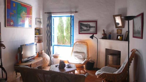 Smart TV, fireplace, books, music library