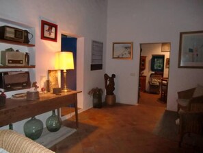 Smart TV, fireplace, books, music library