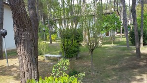 A courtyard with a bench, trees, and a small garden area.