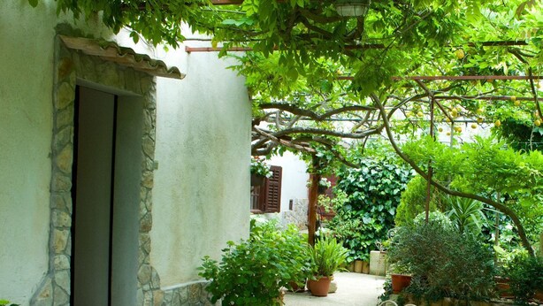 A courtyard with a wooden table, potted plants, and a stone wall.
