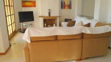 智能电视、DVD 播放器