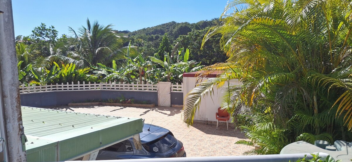 オーナーのプロフィール画像