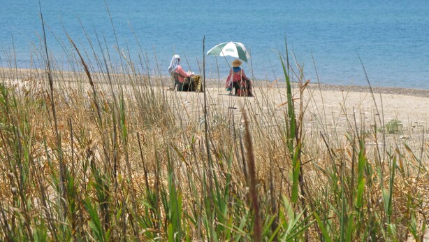A beach with tall grass in the foreground and a clear view of the sea in the background.