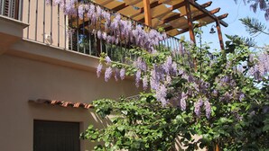 A building with a balcony covered by a wooden pergola, adorned with purple flowering vines.