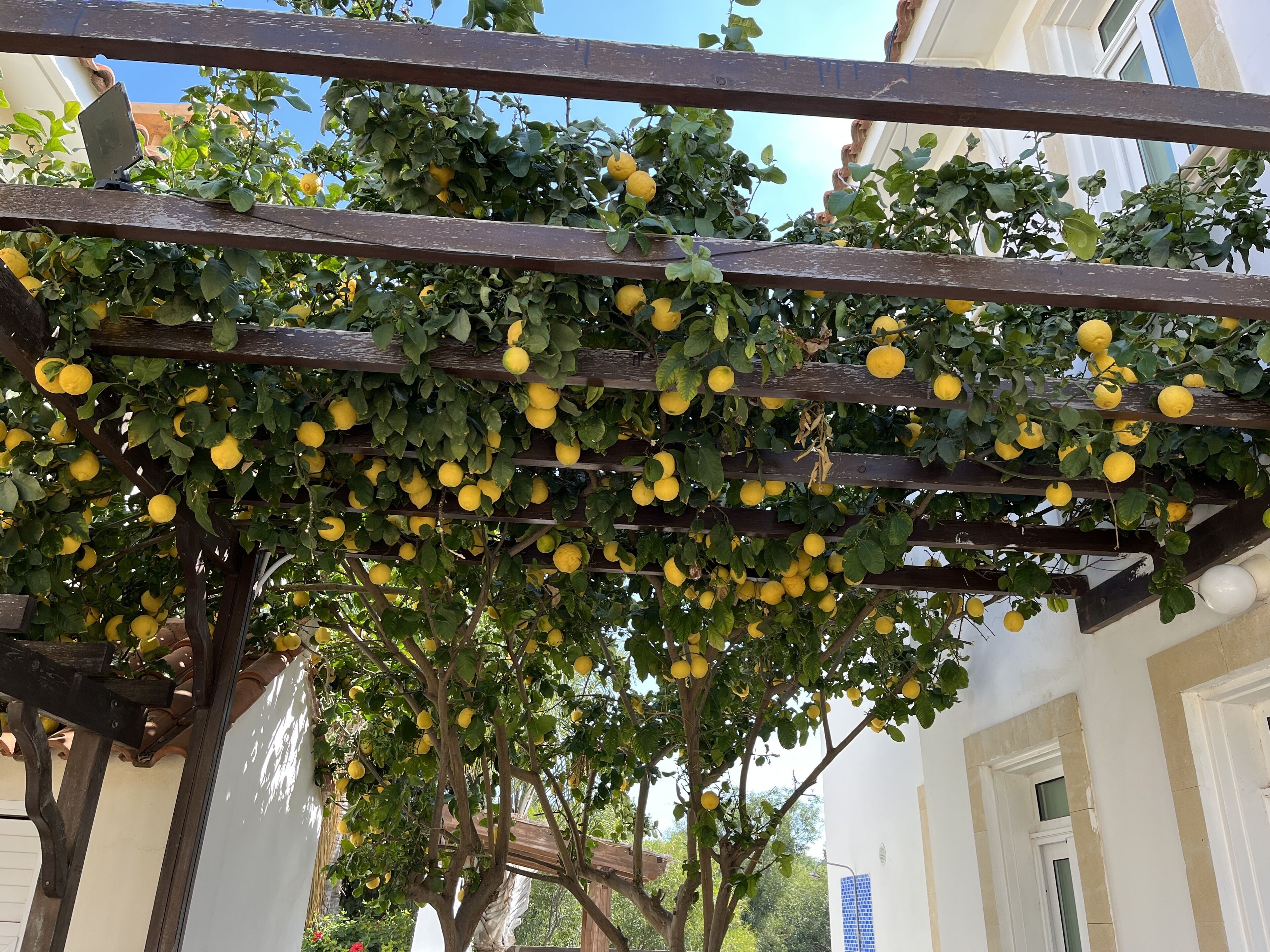 Overnattingsstedets uteområder