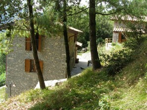 Property grounds - Tuscan Farmhouse, sleeps 11. 10m. pool in National Park. Free unlimited WiFi (Lucca)