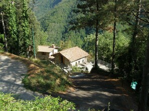 Exterior - Tuscan Farmhouse, sleeps 11. 10m. pool in National Park. Free unlimited WiFi (Lucca)