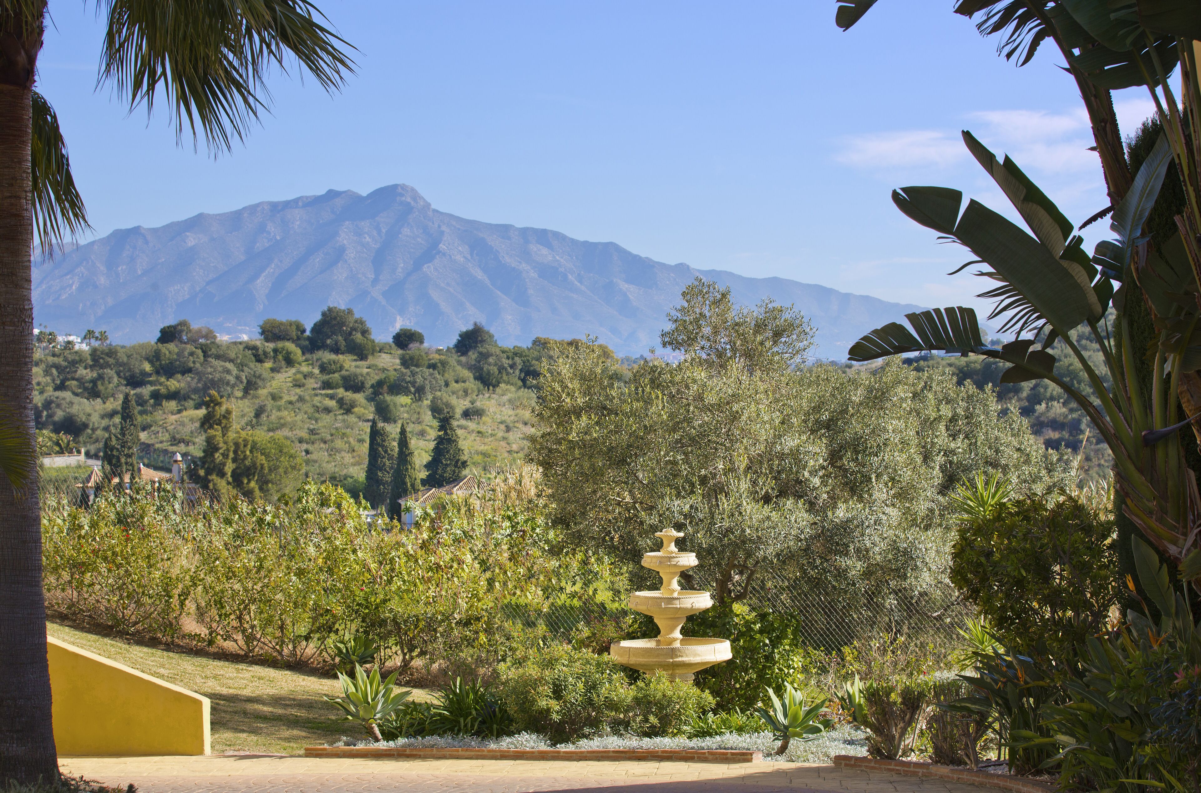 Un jardin avec une fontaine, une végétation luxuriante et une montagne en arrière-plan.