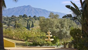A garden with a fountain, lush greenery, and a mountain in the background.