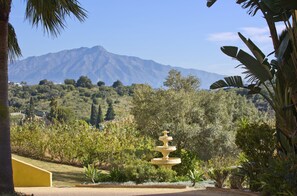 Property grounds - 2 bed apartment Estepona/Marbella . Mountain ocean views, beach, golf, shops. (Estepona)