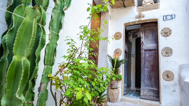 Una calle estrecha con paredes blancas, una puerta de madera y macetas con plantas.