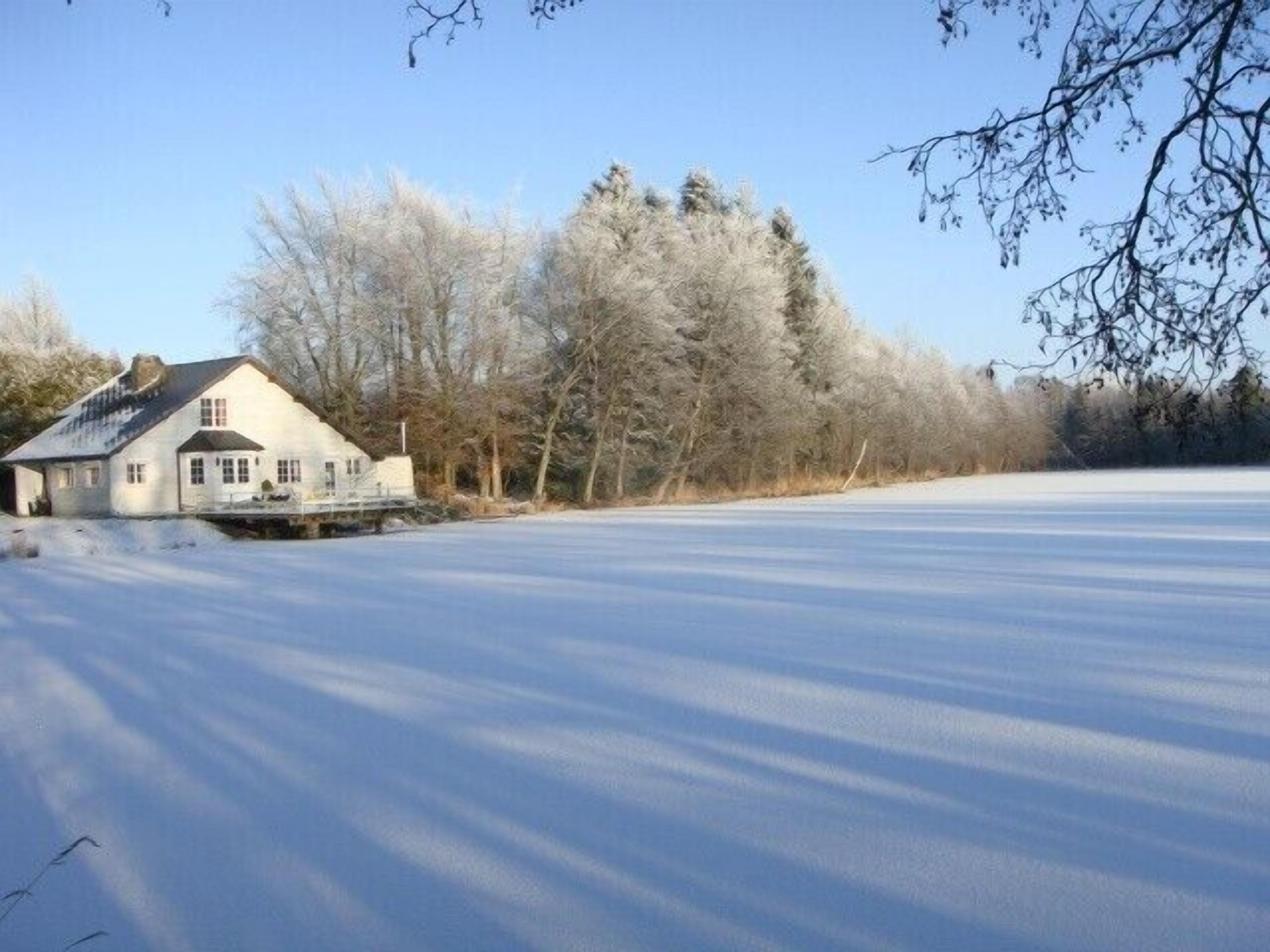 A house with a large snow-covered yard and trees in the background.