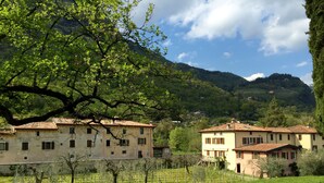 Entorno rural con edificios tradicionales, un árbol grande y montañas al fondo.