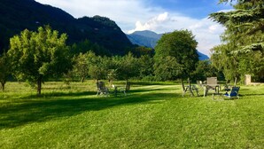 Un campo cubierto de hierba con árboles y una montaña al fondo.