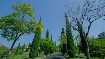 Entrance into our Apartment Complex