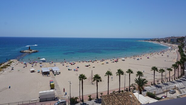 A beach with clear blue water, palm trees, and a pier.
