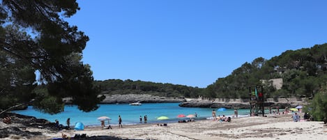 Playa en los alrededores