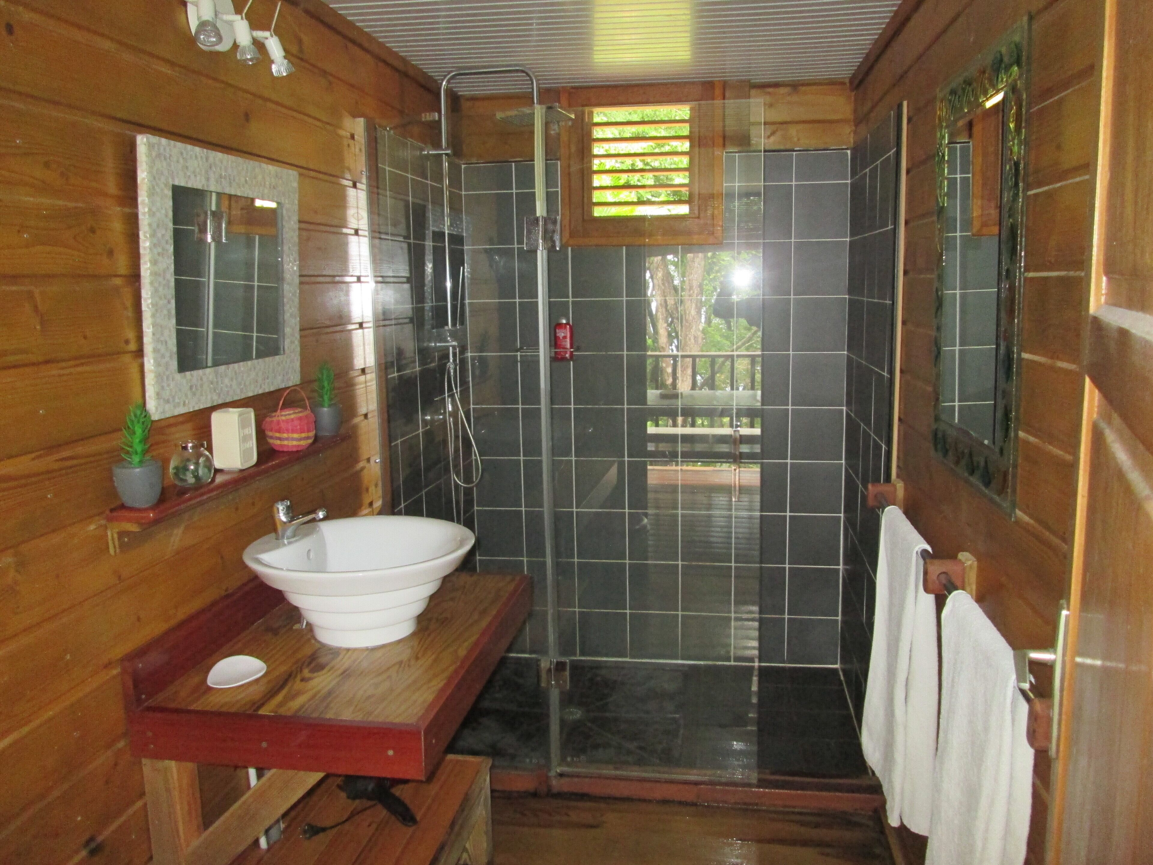 Shower, towels, toilet paper