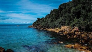 在海灘附近