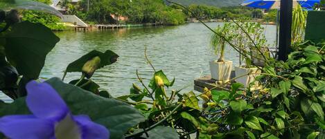 Lake view