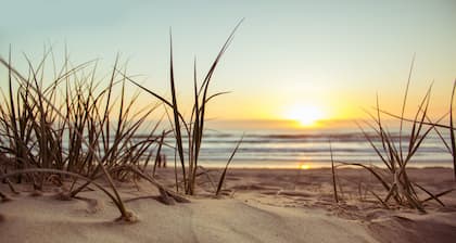 Rustic Villa with Pool: Nature and Relaxation - Agriturismo Bellajo