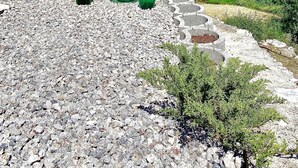Terreno pedregoso con botellas de vidrio verde y una vista despejada del mar y el horizonte de la ciudad.