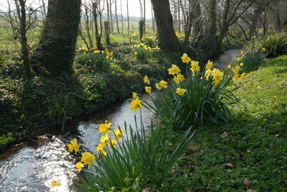 The Granary at French Mill: charming cottage set in extensive garden with stream