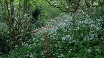 Overnatningsstedets område