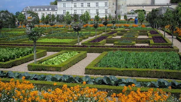 A formal garden with geometric plant beds and a large historic building in the background. - Nature & Chateaux à Villandry (Artannes-sur-Indre)