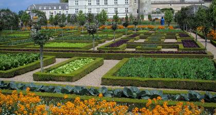 Nature & Chateaux à Villandry