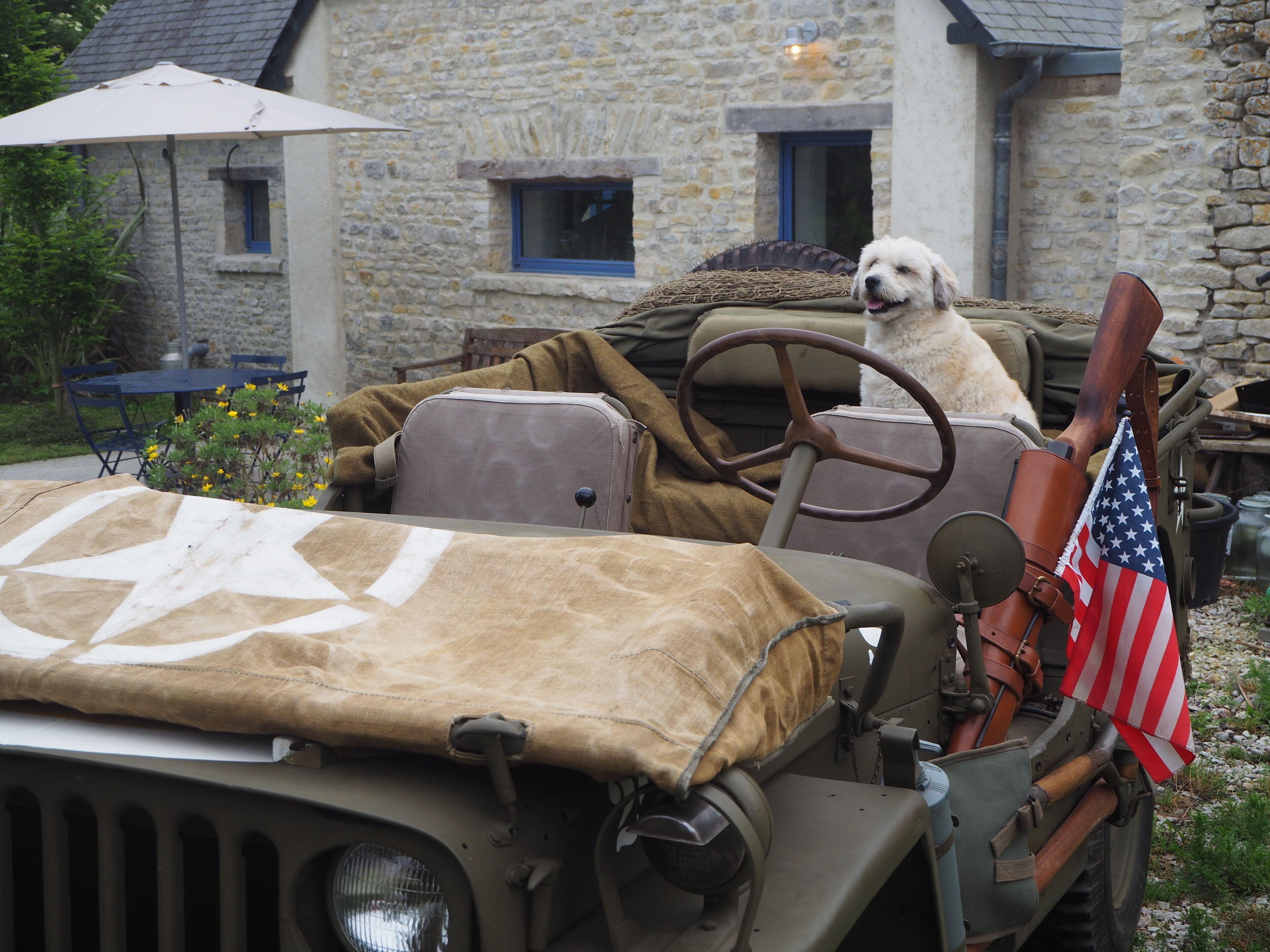 A vintage jeep with a dog in the driver's seat, parked in front of a stone building with a blue window and an outdoor table.