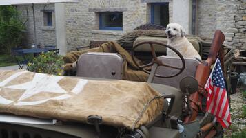 A vintage jeep with a dog in the driver's seat, parked in front of a stone building with a blue window and an outdoor table.