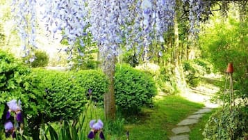Een tuin met een pad van stenen, weelderige begroeiing en hangende paarse bloemen.