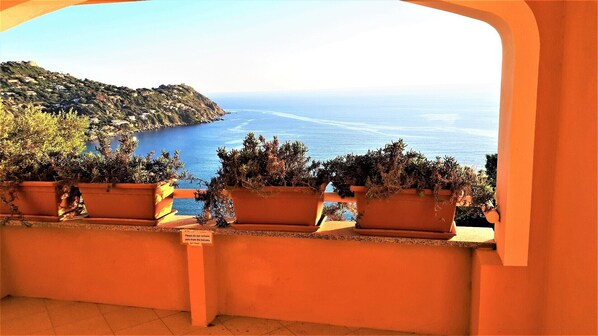 A balcony with terracotta pots and a view of the sea.