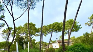 Una piscina con bordo blu, circondata da alberi e un edificio sullo sfondo.