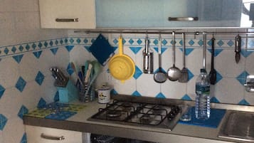 Fridge, stovetop, dishwasher, cookware/dishes/utensils