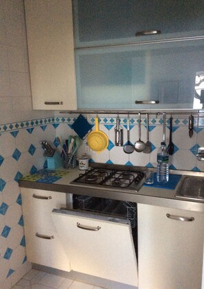 Fridge, stovetop, dishwasher, cookware/dishes/utensils
