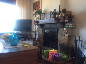 Televisión, chimenea y libros 