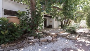 A stone pathway leading to a white building with a door and windows, surrounded by lush greenery and white gravel.