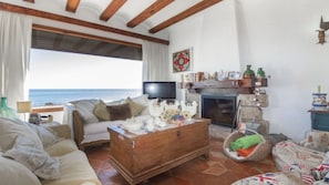 TV, fireplace, books