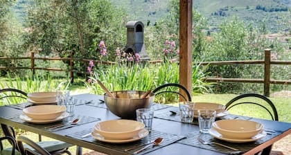 PRIVATE POOL - FARMHOUSE FATTORIA LA PIEVE-VILLA FICO from Pisa