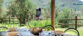 PRIVATE POOL - FARMHOUSE FATTORIA LA PIEVE-VILLA FICO from Pisa
