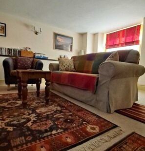 Televisión, chimenea, reproductor de DVD, libros