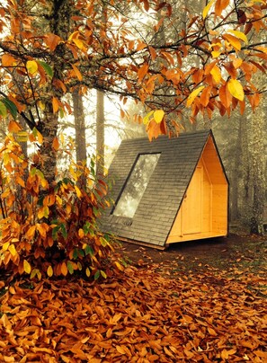 A small wooden cabin with a sloped roof and a skylight, surrounded by autumn foliage and trees.