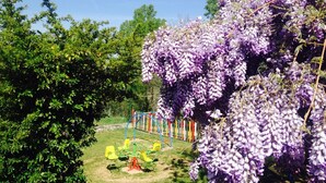 Un parque con enredaderas de glicinia morada, un área de juegos con equipamiento amarillo y verde, y una cerca azul y roja.