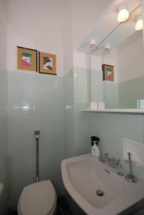 Chuveiro/banheira combinados, secador de cabelo, bidê, toalhas de banho
