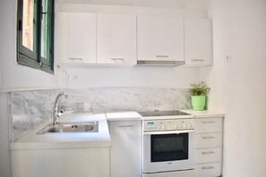 Fridge, oven, stovetop, coffee/tea maker