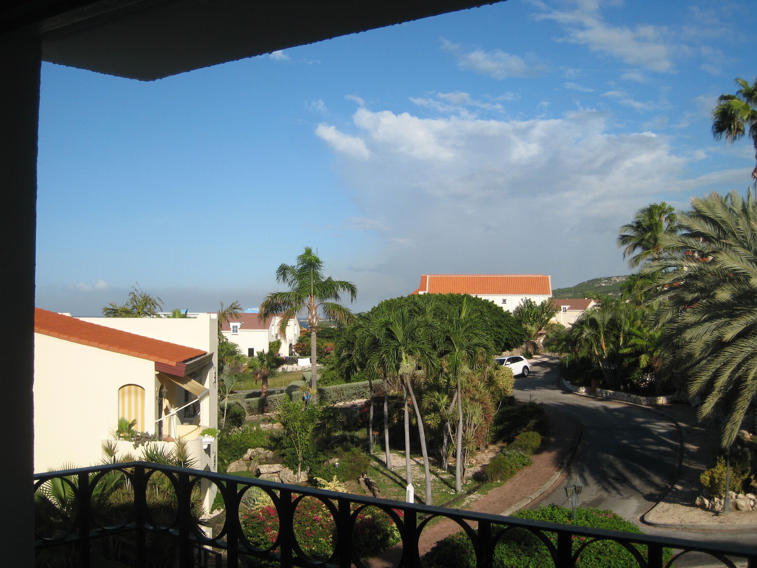 A residential area with houses, a road, and palm trees.