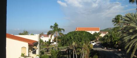 A residential area with houses, a road, and palm trees.