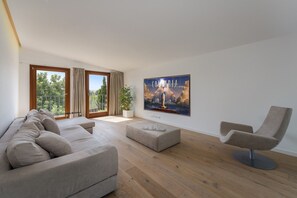 تلفزيون، مشغل دي في دي